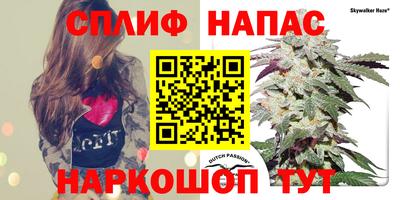 прущие крисы Кинель